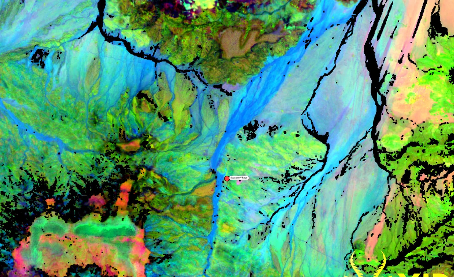 Xidar Analytics spectral exploration hero visual